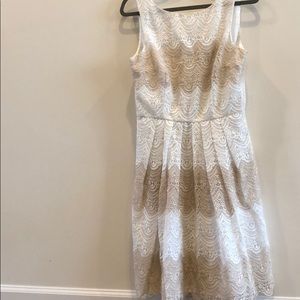 WHBM NWT color blocked Lace dress